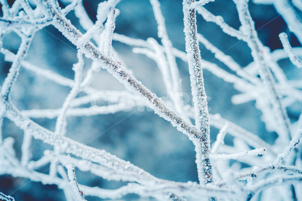 자연,얼음,눈,snow,겨울,겨울,계절,winter,season