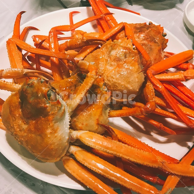 게,홍게,crad,해산물,바다생물,음식,식재료,요리,food,cook,meal,dishes,food reserves,수산물,해산물,fishery products,seafood