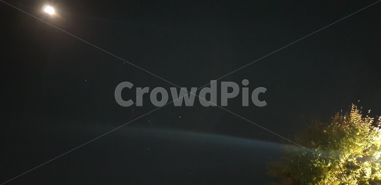 밤하늘,달,나무,어둠,밝은,야경,밤,풍경,nightscape,night,landscape,nature,자연,outdoors,옥외