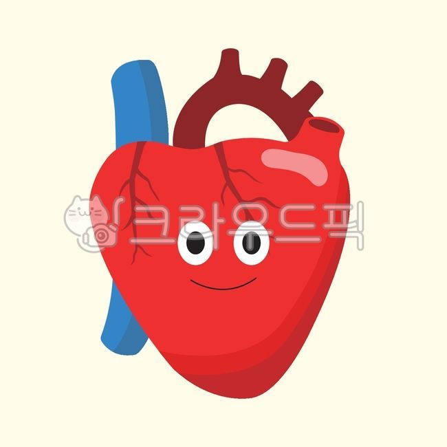 인체, 장기, 심장, 하트, heart, 사진,이미지,일러스트,캘리그라피 - haenigrim작가