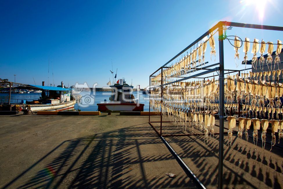 오징어,오징어건조,어촌,어촌풍경,배,바다,바닷가,푸른하늘,파란하늘,어업,오징어건조대,실외,squid,squiddrying,fishingvillage,fishingvillagescenery,ships,sea,beach,bluesky,fishing,squiddryingrack,outdoor,어업,fishery,fishing industry