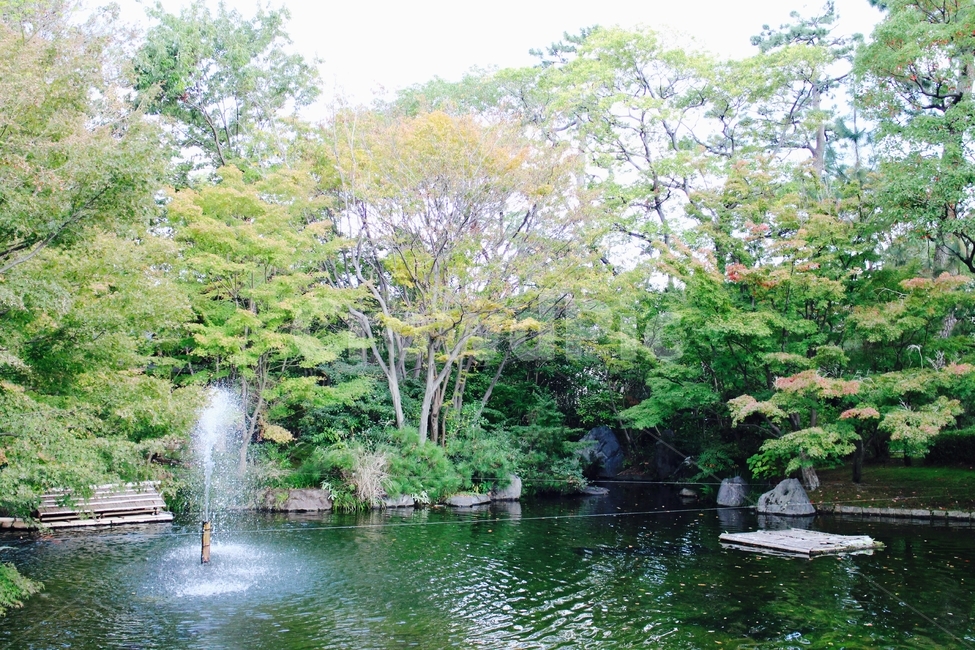 연못,감성,풍경,필름카메라,일본