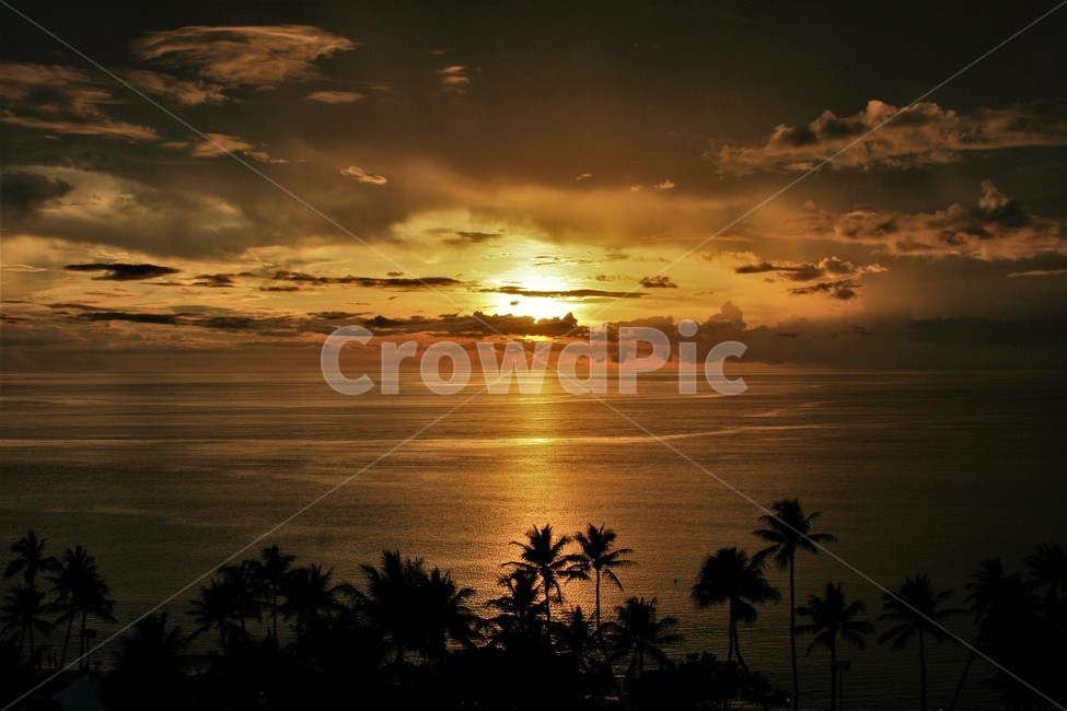 노을,바다,sunset,야자수,하늘,구름,수평선,저녁,해외,sea,나무,palmtree,tree,sky,horizon,dinner,오후,자연,풍경,nature,landscape,실루엣,그림자,silhouette,shadow,sunlight,햇빛,outdoors,옥외