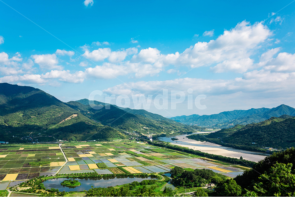 논,밭,부부송,시골,하동,강,자연,풍경,nature,landscape,한국자연풍경,한국자연경관,korea nature landscape,outdoors,옥외,scenery,경치