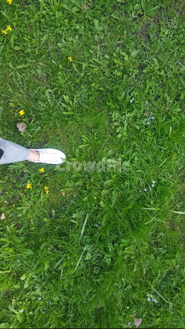 잔디길,봄날,새싹들,포근한,따스한,자연,풍경,nature,landscape,plant,식물,grass,잔디