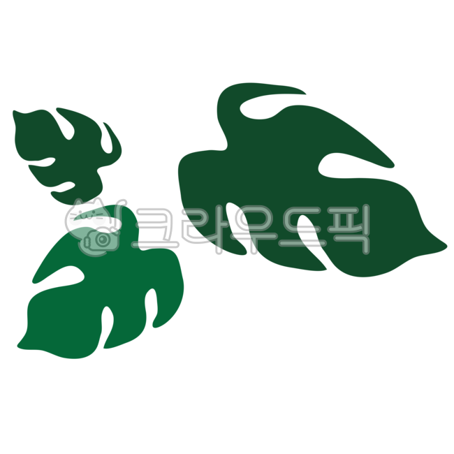 몬테라스,초록,leaf,잎,green,녹색,나뭇잎,식목일,씨앗,싹,식물키우기,새싹,쑥쑥,유치원,어린이집,키우기,소품,인테리어,학교,봄,분위기,자연