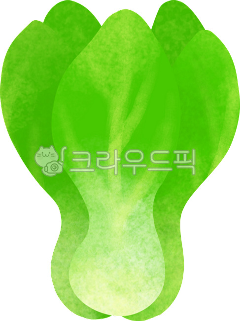 청경채,야채,채소,일러스트,손그림,png,투명