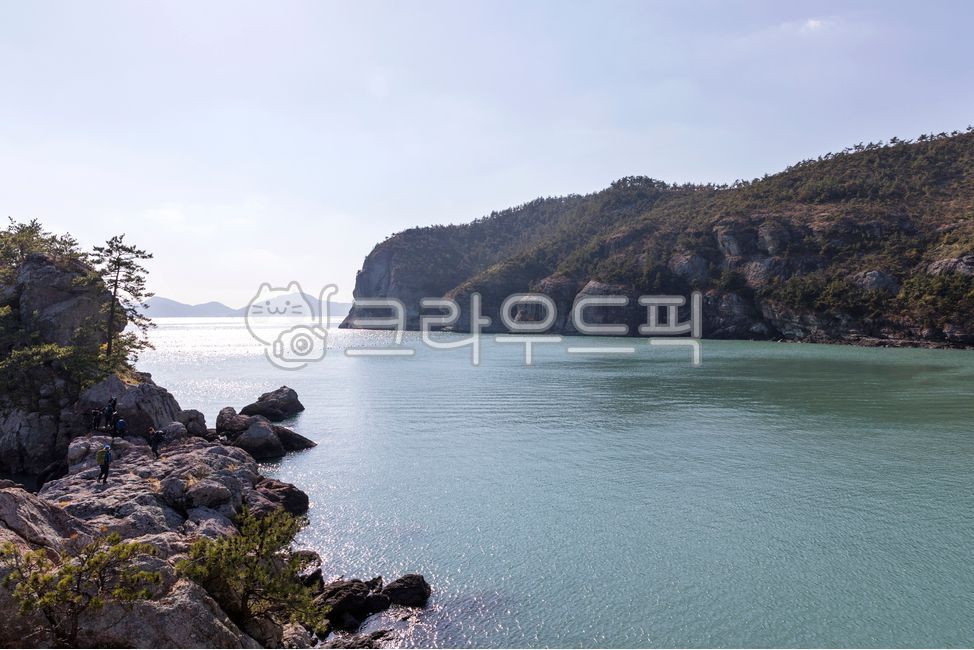완도,금당도,섬,nature,자연,outdoors,옥외,promontory,곶,water,물,cliff,낭떠러지,sea,바다,coast,해안,나무,tree