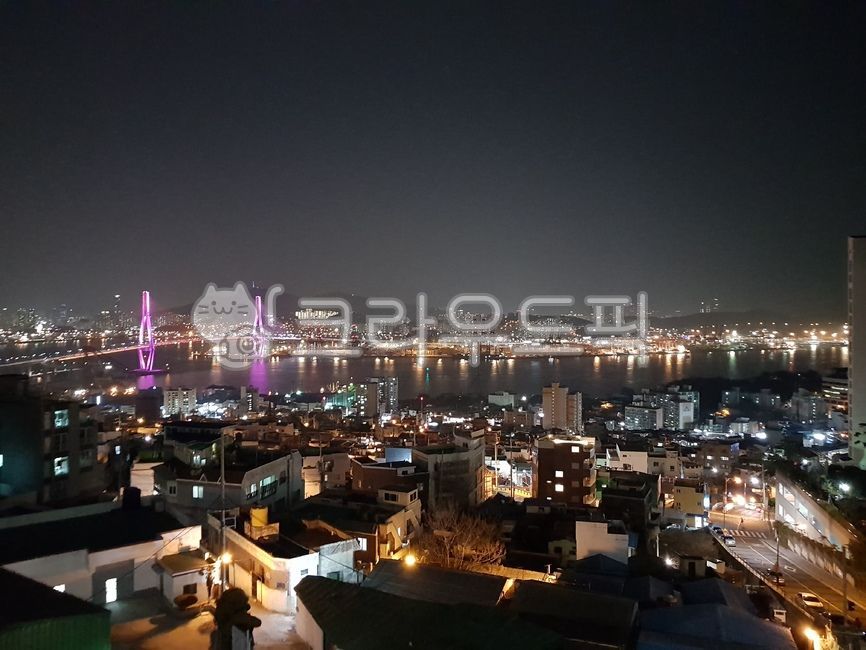 cafe,Busan Port Bridge,city,busan,sight,Yeongdo night view,building