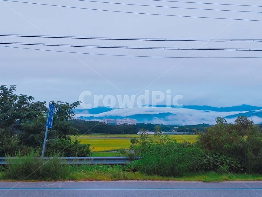 안개,도로,파랑,산등성이,배경,자연,풍경,nature,landscape