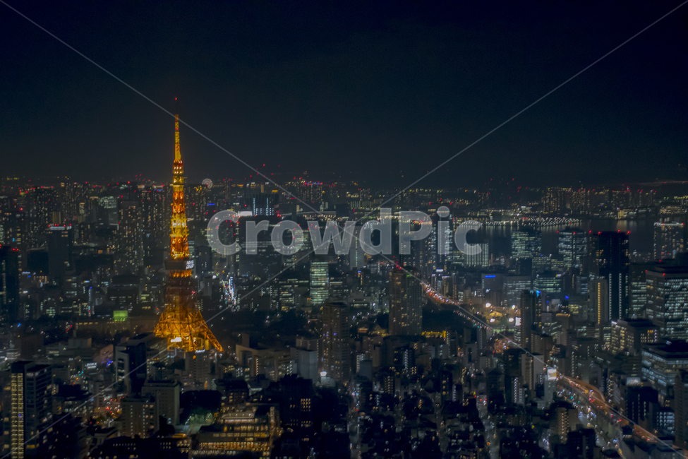 도쿄타워,도쿄,일본,야경,도시,tokyo,japan,night,city,tokyotower,야경,밤,풍경,nightscape,night,landscape,도시,city,랜드마크,landmark,tourist attraction,해외,외국,세계,foreign,oversea,world,세계도시풍경,해외도시풍경,외국도시풍경,world cityscape,세계랜드마크,해외랜드마크,외국랜드마크,world landmark,world tourist attraction,경치,outdoors,옥외,nature,자연,scenery,aerial view,조감도