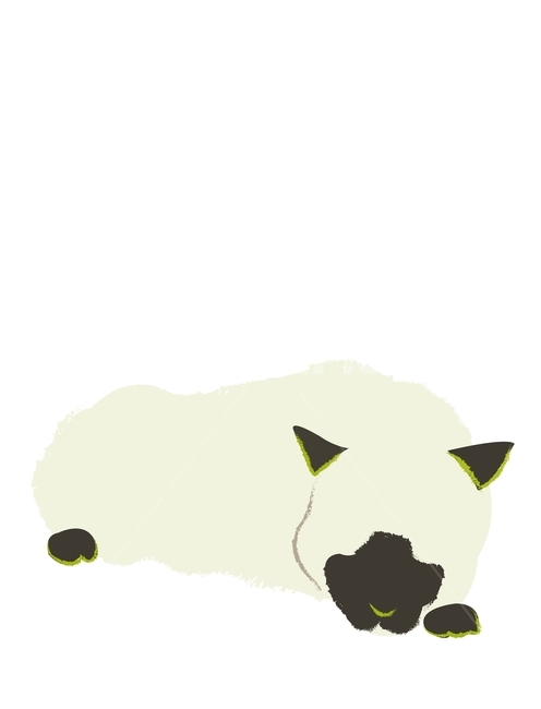 cat,Siamese,illustration,cat illustration