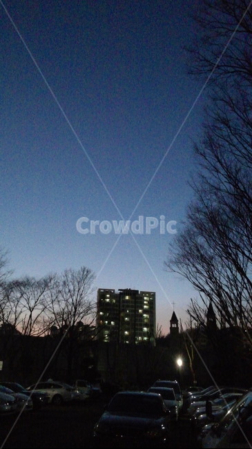 밤,도시,나무,야경,어둠,night,nightview,tree,city