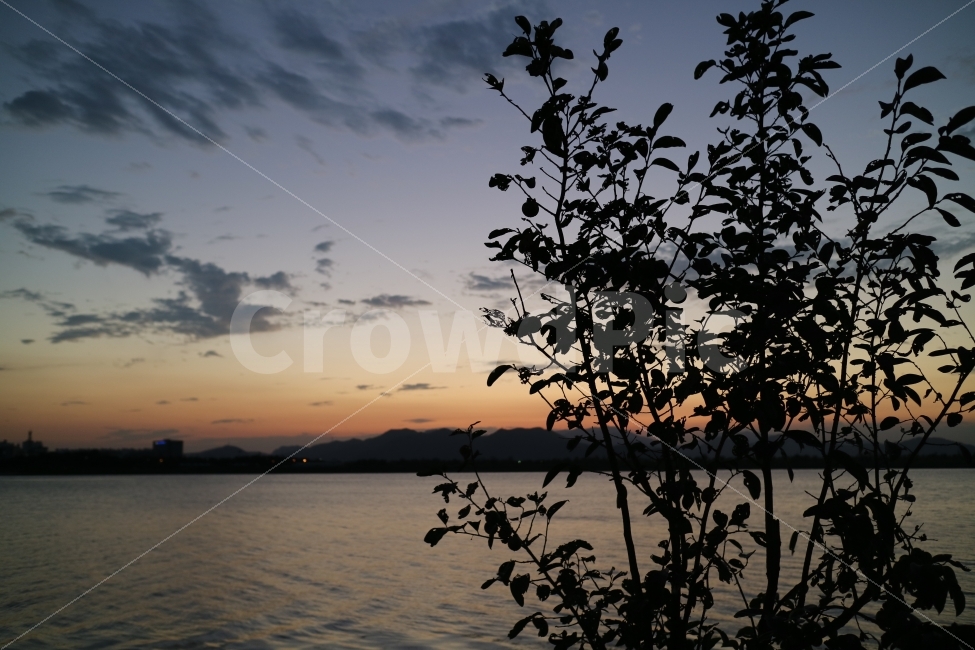 해질녘,노을,자연,sunset,nature,하늘,sky,강,낙동강,river,감성사진,저녁,풍경,view,자연,풍경,nature,landscape,outdoors,옥외,일몰,dawn,새벽,red sky,붉은 하늘,dusk,황혼