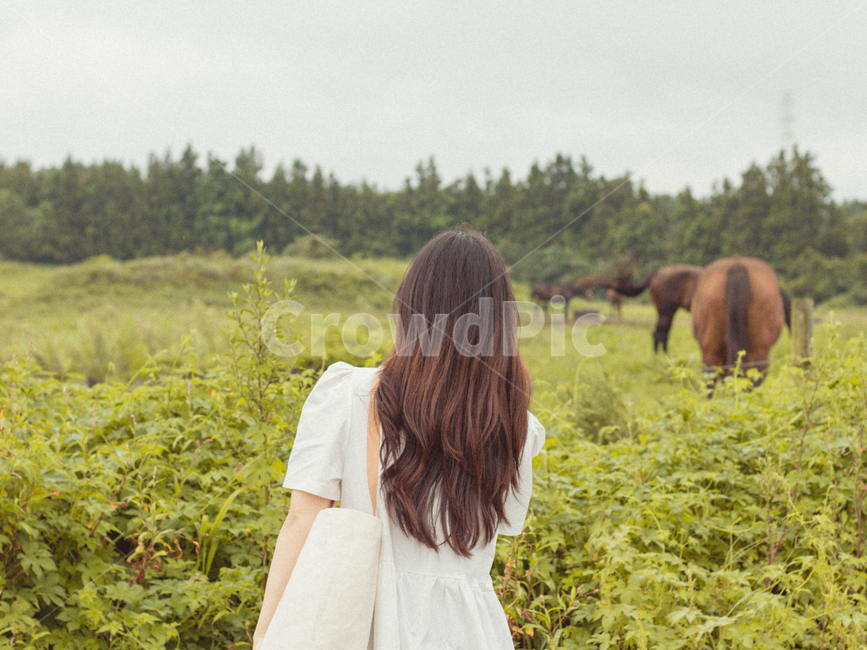 인간,human,person,사람,outdoors,여자,여자뒷모습,뒷모습,제주도,제주도,jeju,jeju island,여성,여자,woman,female,lady