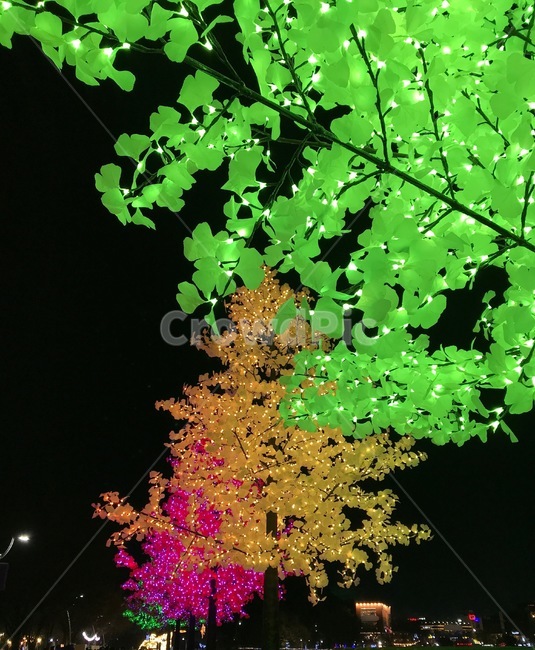 야경,야외조명,나무,tree,식물,plant,nightscape,night,christmas,light,lighting,illumination,조경,landscaping,starlight
