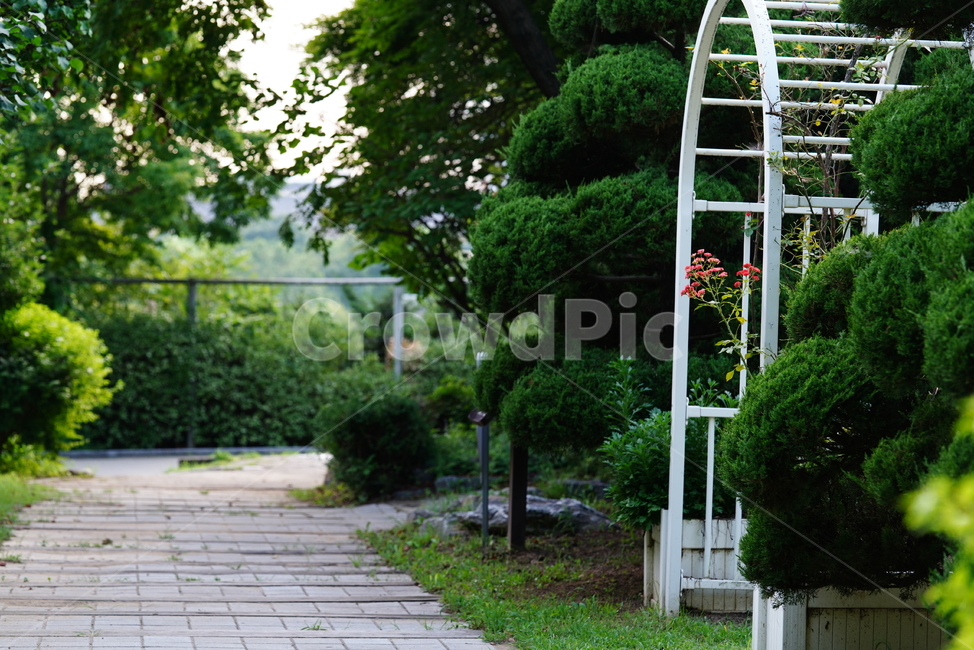 꽃,플라워,자연,식물,생물,생명,공원,식물,자연,plants,nature,꽃,flower