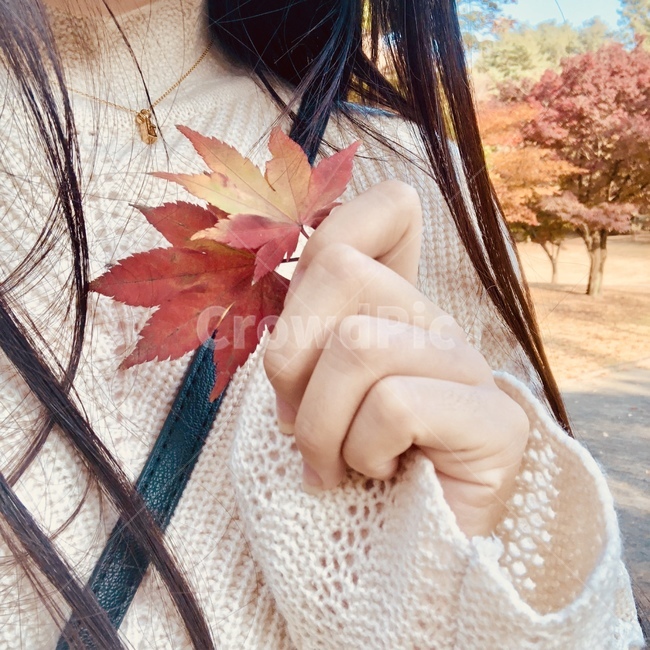 가을,식물,사람,잎,단풍,가을옷,의류,단풍잎,plant,leaf,fall,감성,분위기,mood,가을,계절,fall,autumn,season,사람,인물,인간,human,person,여성,여자,woman,female,lady,tree,나무