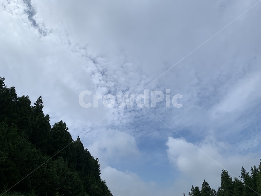 산,하늘,자연,제주,사려니숲길,날씨