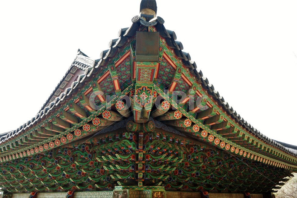 단청,한국건축,처마,사찰건물,건축물,조선,나무,색상,색칠,사찰,한국전통건축,기와,비구니,도량,종교,불교,기와지붕,전통건축,기와집,지붕,전통,한옥,패턴,배경,전통적인,한국의,construction,한국전통,한국문화,koreantraditional,koreanculture,건물외관,exterior,building,structure,architecture