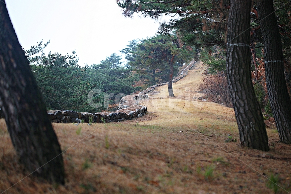 전등사,성,성곽,단풍,낙엽,산성,길,둘레길,숲,숲길,담,돌담,가을,자연,풍경,벽,방어벽,돌,나무,식물,가을,계절,fall,autumn,season,자연,풍경,nature,landscape