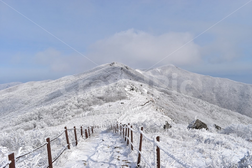 소백산,눈꽃풍경,상고대,겨울풍경,국립공원,겨울동화,눈풍경,파란하늘,100대명산,겨울명산,설경,서리꽃,영동,snow,landscape,자연,풍경,nature,landscape,겨울,계절,winter,season,outdoors,옥외,mountain range,산맥,mountain,산