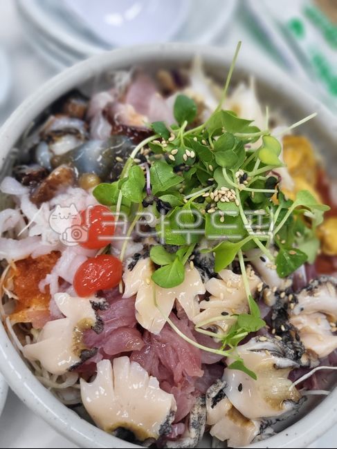 물회, 회, 바다, 음식, food, 사진,이미지,일러스트,캘리그라피 - jenny8745작가