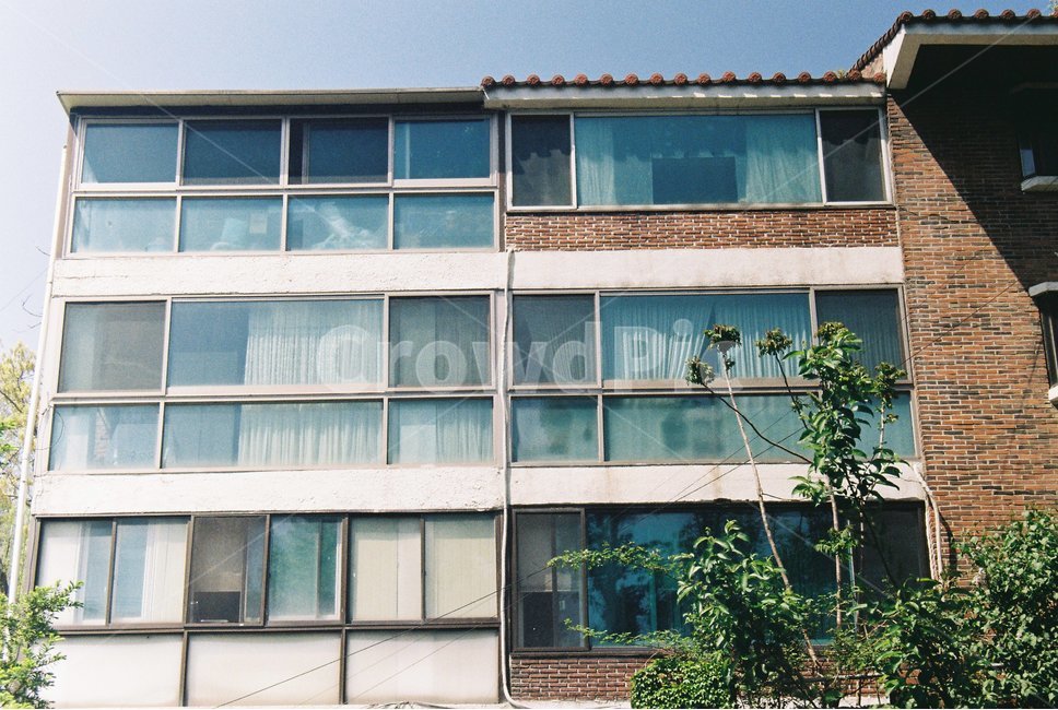 창문,window,건물,building,감성,커튼,curtain,나무,tree,감성,sensible,feeling,빈티지사진,빈티지느낌,빈티지감성,vintage,건축물,건물외관,exterior,building,structure,architecture,construction