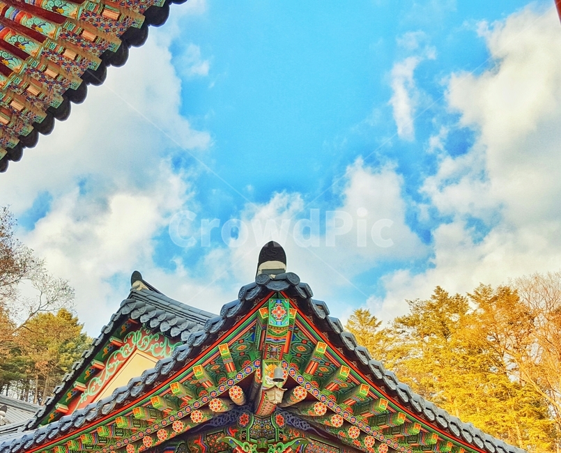 늦겨울,초봄,푸른하늘,처마,절간,기와지붕,한국전통,한국문화,korean traditional,korean culture,건축물,건물외관,exterior,building,structure,architecture,construction