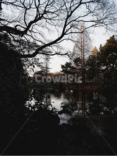 저녁공원,밤공원,어두운공원,겨울공원,공원,tree,나무,자연,풍경,nature,landscape,plant,식물,outdoors,옥외,land,땅
