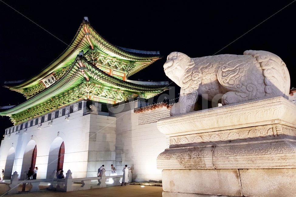 광화문,문화재,경복궁,야간개장,야간,야경,밤,풍경,nightscape,night,landscape,조각상,동상,석상,조형물,statue,bronze statue,stone statue,랜드마크,landmark,tourist attraction,한국전통,한국문화,korean traditional,korean culture,architecture,건축물,building,건물,worship,예배,shrine,신사