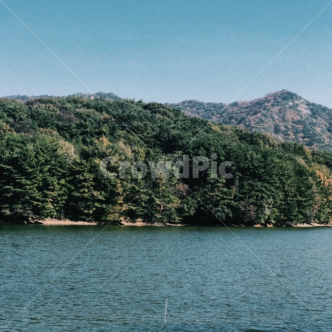감성,강,가을,차가움,차가운,못,fall