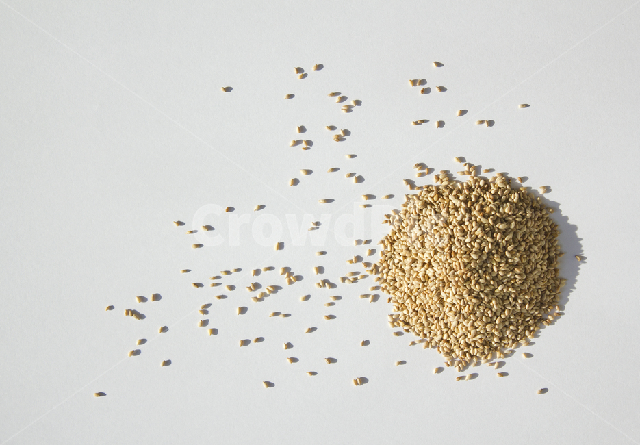 brown,closeup,dry,dummy,food,gold,grain,macro,meal,natural,nature,organic,plant,seed,seeds,sesame,sesameseed,sesameseeds,top,topangle,topview,yellow,깨,참깨,곡식,곡류,음식,음식재료,식재료,식물,씨앗,씨,갈색,브라운,말린,말리는,건조,자연,클로즈업,탑앵글,탑뷰,깨소금,농작물,농촌,농사,흰배경,더미,덩어리,많은,모아놓은,모으다,화이트,흰색,음식,식재료,요리,food,cook,meal,dishes,food reserves,곡류,곡식,cereals