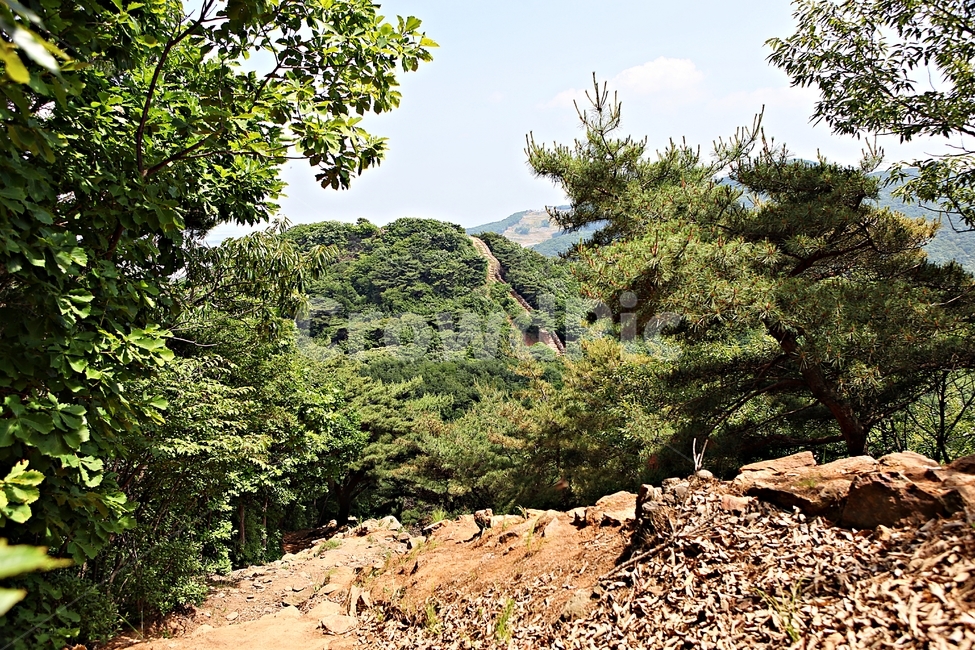 전등사,전등사둘레길,길,돌담,성곽,풍경