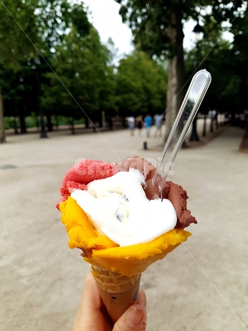 아이스크림,icecream,gelato,젤라또,공원,park,음식,식재료,요리,food,cook,meal,dishes,food reserves,디저트,간식,후식,dessert,snack