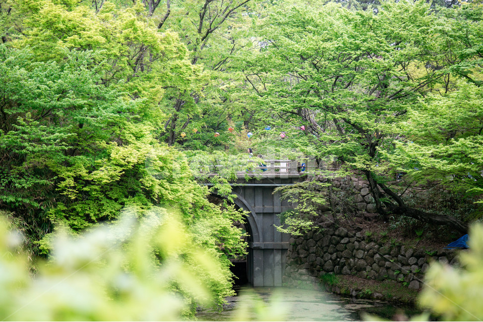 outdoors,옥외,water,물,돌,다리,돌다리
