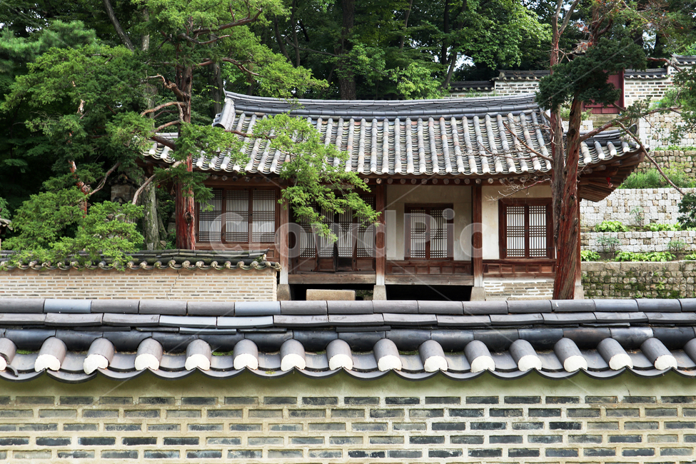 궁,궁궐,창덕궁,서울,관광,한옥,단청,오방색,문화재,한국문화재,유형문화재,한국전통,한국문화,한국랜드마크,한국관광지,한국명소,건축물,건물외관,후원,기와,나무,화창한,담,벽,벽돌,회색,기둥,지붕,문,창문,전통,창덕궁후원