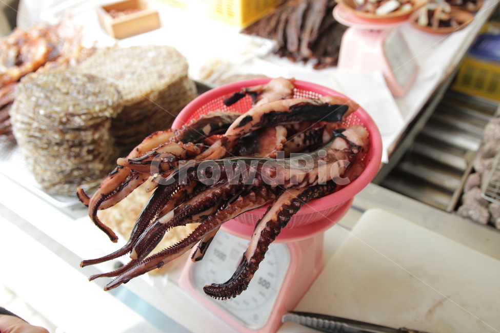 문어다리,반건조오징어,다리,길거리음식,심심풀이,간식,쥐포,친구,맥반석구이,오징어다리,오징어,문어,간식거리,음식,식재료,요리,food,cook,meal,dishes,food reserves,수산물,해산물,fishery products,seafood,디저트,간식,후식,dessert,snack