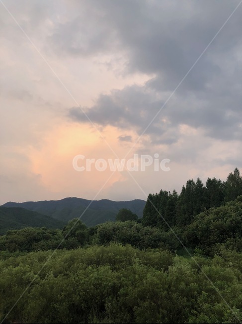 구름,하늘,자연,풍경,나무,숲,산,노을