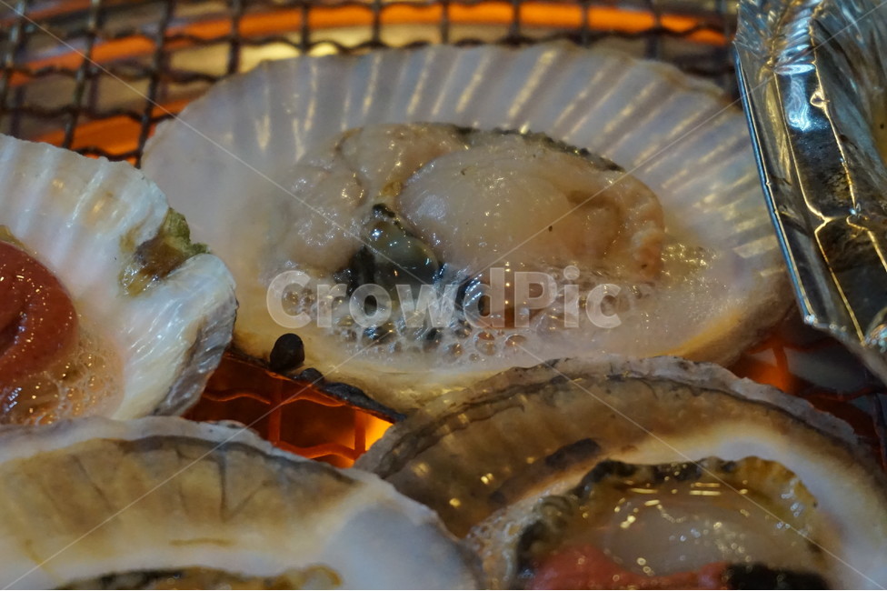 조개구이,조개,키조개,완자,음식,식재료,요리,신선하다,해산물,수산물,씨푸드,해물,food,cook,외식,회식,어패류,식사,가리비,숯불,불,seafood,해물모듬,구이,모듬해물,술안주,그릴,캠핑,싱싱,음식,식재료,요리,food,cook,meal,dishes,food reserves,수산물,해산물,fishery products,seafood