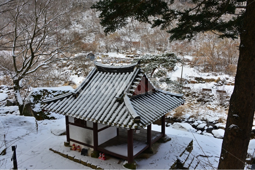 nature,자연,outdoors,옥외,ice,빙,plant,식물,tree,나무,roof,지붕,바위,광주,북구,무등산,풍암정,풍암정설경,설경,겨울,계절,눈