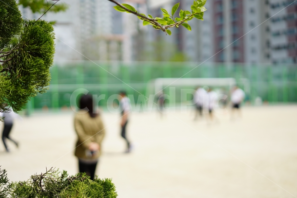 봄,봄날,여인,산책,걷기,나들이,워킹,인물,여자,여성,그리움,휴식,쉼,여유,사람들,대중,군중,other people,crowd,교육,학교,공부,education,learning,study,school