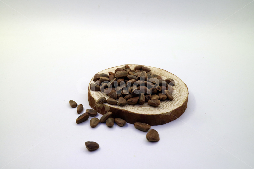 잣,견과류,음식,식품,식재료,오브젝트,누끼,가을,씨앗,정물,나무,목재,나무판,음식,식재료,요리,food,cook,meal,dishes,food reserves,콩류,견과류,beans,pulse,nuts,dry fruits,누끼,remove background