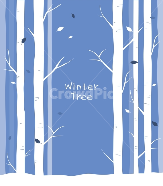 눈,자작나무,나무,겨울,식물,가지,겨울,계절,winter,season,그래픽,일러스트레이션,graphic,illustration