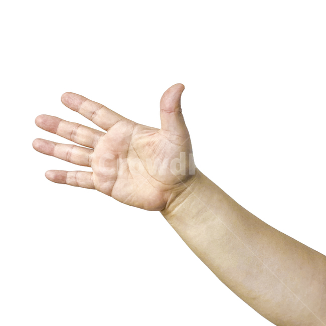 human,인간,person,사람,보자기,가위바위보,사람손,손,사람손가락,신체일부,몸,body