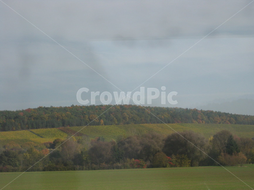 outdoors,자연,야외,풍경,scenery,차창,포도밭,밭,grassland,목초지,nature