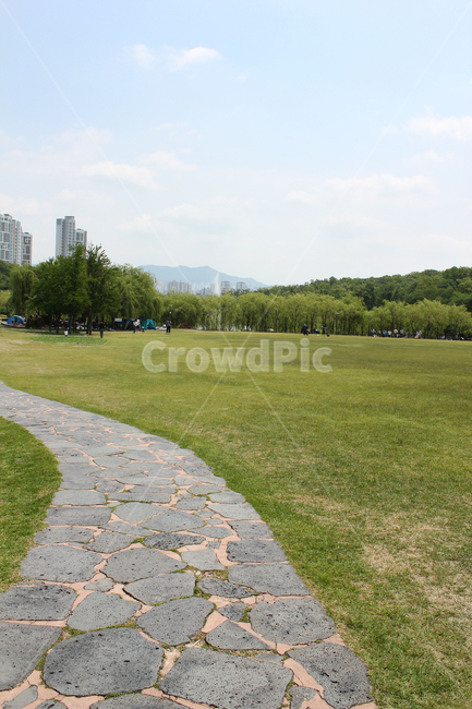 북서울꿈의숲,숲,공원,산책로,돌,잔디,잔디밭,풀,그린,녹색,돌바닥,돌길,산책길,풀밭,길,산,도시,도심,빌딩,먼산,나무,조경,자연,하늘,파란하늘,낮,구름,맑은,한국,서울,자연,풍경,nature,landscape,grass,plant,식물,path,통로,flagstone,판석,walkway,보도