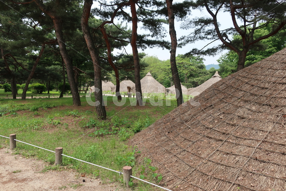 암사동,선사,유적지,움집,유적,시대,집터,빗살무늬토기,움집터,반지하,가옥,건축물,건물외관,exterior,building,structure,architecture,construction
