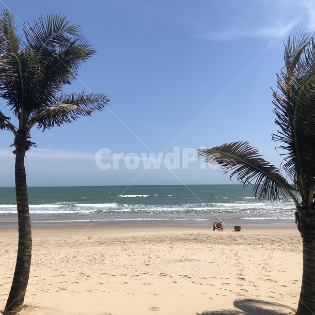 해변,바닷가,바다,야자수,잔잔한바다,휴가,해변,바다,beach,sea