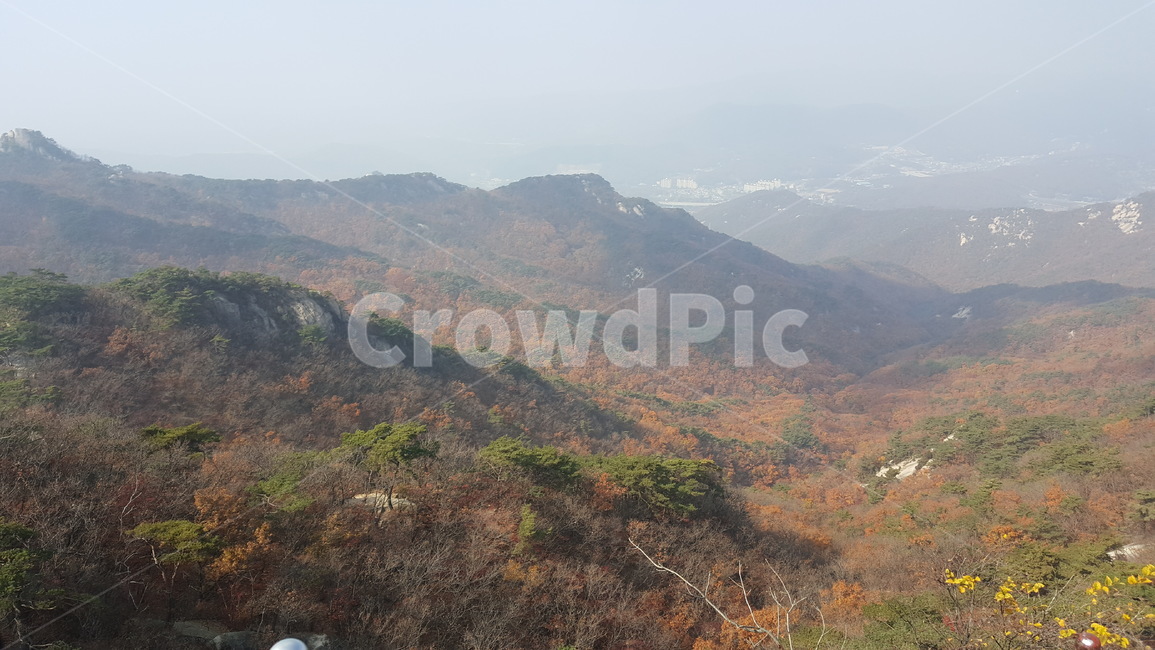 산,단풍,가을,정상,산등성